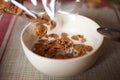 Pour chocolate cornflakes Royalty Free Stock Photo