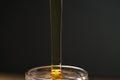 Pour honey into glass jar closeup