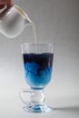 Pour the milk into a Cup of blue butterfly pea tea Anchan on a gray background. Blue Thai tea and milk mixed Royalty Free Stock Photo