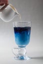 Pour the milk into a Cup of blue butterfly pea tea Anchan on a gray background. Blue Thai tea and milk mixed Royalty Free Stock Photo