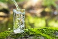 Pour water into glass on green grass in nature Royalty Free Stock Photo