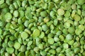 Poured dry green peas background. Organic raw split pea groat