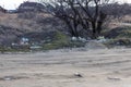 Poured garbage on Sea coast is left by tourists and vacationers. Dirty sea sandy shore of Sea. Environmental pollution.