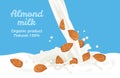 Pouring almond milk isolated on blue background. Splash and drops of milk. Vector illustration of  milk flow in cartoon flat style Royalty Free Stock Photo