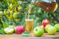 Pouring apple juice into the glass. Fresh organic apples and glass of apple juice on wooden table in the summer orchard garden