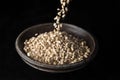 Pouring Barley into a bowl