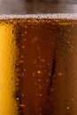 Pouring beer with bubble froth in glass for background Royalty Free Stock Photo