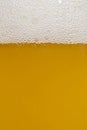 Pouring beer with bubble froth in glass for background on front view . Background cool beers with beer bubbles on top a glass at