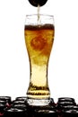 Pouring beer into a tall glass