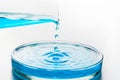 Pouring blue liquid from laboratory flask into petri dish. Check the water for cleanliness Royalty Free Stock Photo