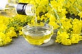 Pouring canola oil into the glass bowl against rapeseed blossoms on the grey surface, closeup shot