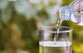 Pouring of clear drink water from bottle into the glass on blurred green nature background with copy space for text Royalty Free Stock Photo