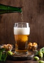 Pouring of cold beer in glass with foam. Beer and snacks Royalty Free Stock Photo