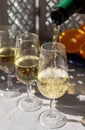 Pouring of cold fino sherry fortified wine in glass in sunlights, andalusian style interior on background Royalty Free Stock Photo