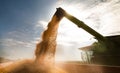 Pouring corn grain into tractor trailer Royalty Free Stock Photo