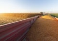 Pouring corn grain into tractor trailer Royalty Free Stock Photo