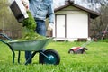 Pouring cut grass out of a lawnmower container into a wheelbarrow Royalty Free Stock Photo