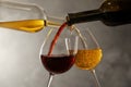 Pouring different wines from bottles into glasses Royalty Free Stock Photo