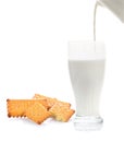 Pouring a Fresh Glass of Milk and biscuits isolated on white background Royalty Free Stock Photo