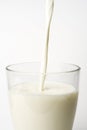 Pouring fresh glass of milk isolated Royalty Free Stock Photo