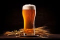 Pouring frothy light beer from tap into large glass, fresh cold brewery beverage concept Royalty Free Stock Photo