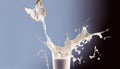 Pouring glass milk healthy drink food shape liquid splash beverage fresh dairy flowing splashing dripped abstract morning health