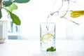 Pouring a glass of water with lemon, ice and mint on a white table Royalty Free Stock Photo