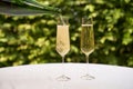 Pouring a glass of white sparkling wine or champagne Royalty Free Stock Photo