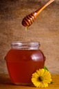 Pouring honey Royalty Free Stock Photo