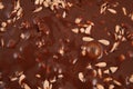 Pouring melted chocolate with sunflower seeds Royalty Free Stock Photo