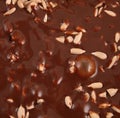 Melted chocolate with sunflower seeds Royalty Free Stock Photo