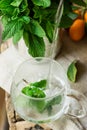 Pouring hot splashing water from pot into glass cup, brewing fresh mint herbal tea