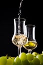 Pouring Italian golden grappa into a glass