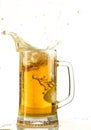 Pouring light beer in a beer mug, it turns out foam and spray Royalty Free Stock Photo