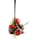 Pouring of melted chocolate on ripe strawberries against white background Royalty Free Stock Photo