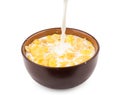 Pouring milk in bowl of corn flakes Royalty Free Stock Photo