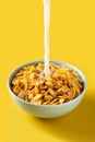 Pouring milk into bowl of corn flakes Royalty Free Stock Photo