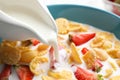 Pouring milk into bowl with crispy corn flakes and strawberries, closeup Royalty Free Stock Photo