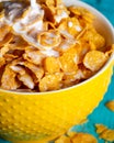 Pouring milk into the ceramic bowl of corn flakes Royalty Free Stock Photo