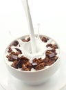 Pouring milk into choc chip breakfast cereal Royalty Free Stock Photo