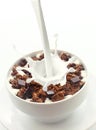 Pouring milk into choc chip breakfast cereal