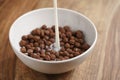 Pouring milk into chocolate cereal balls in white bowl for breakfast on wooden table Royalty Free Stock Photo