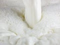 Pouring milk created splash Royalty Free Stock Photo
