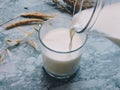 Pouring milk in the glass on blue background. Fresh milk pouring making a crown splash. Front view. Milk glass top view. Royalty Free Stock Photo