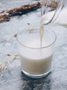 Pouring milk in the glass on blue background. Fresh milk pouring making a crown splash. Front view. Milk glass top view. Royalty Free Stock Photo