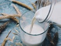 Pouring milk in the glass on blue background. Fresh milk pouring making a crown splash. Front view. Milk glass top view. Royalty Free Stock Photo