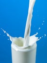 Pouring milk in a glass isolated Royalty Free Stock Photo