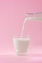 Pouring milk into glass on pink background Royalty Free Stock Photo