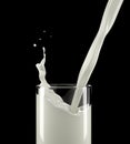 Pouring milk into a glass with small splash. Close up view Royalty Free Stock Photo