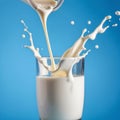 Pouring milk into a glass with splashes on a blue background. Royalty Free Stock Photo